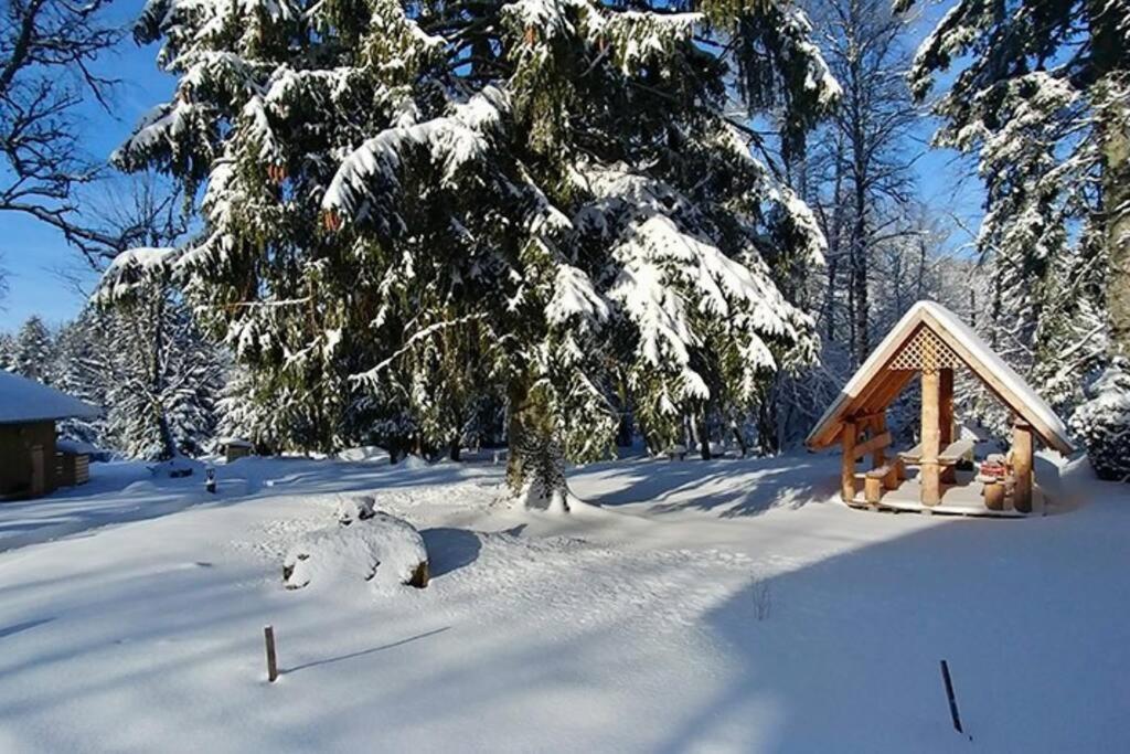 Le Petit Loup, Appartement Neuf Avec Jardin Gerbépal Buitenkant foto